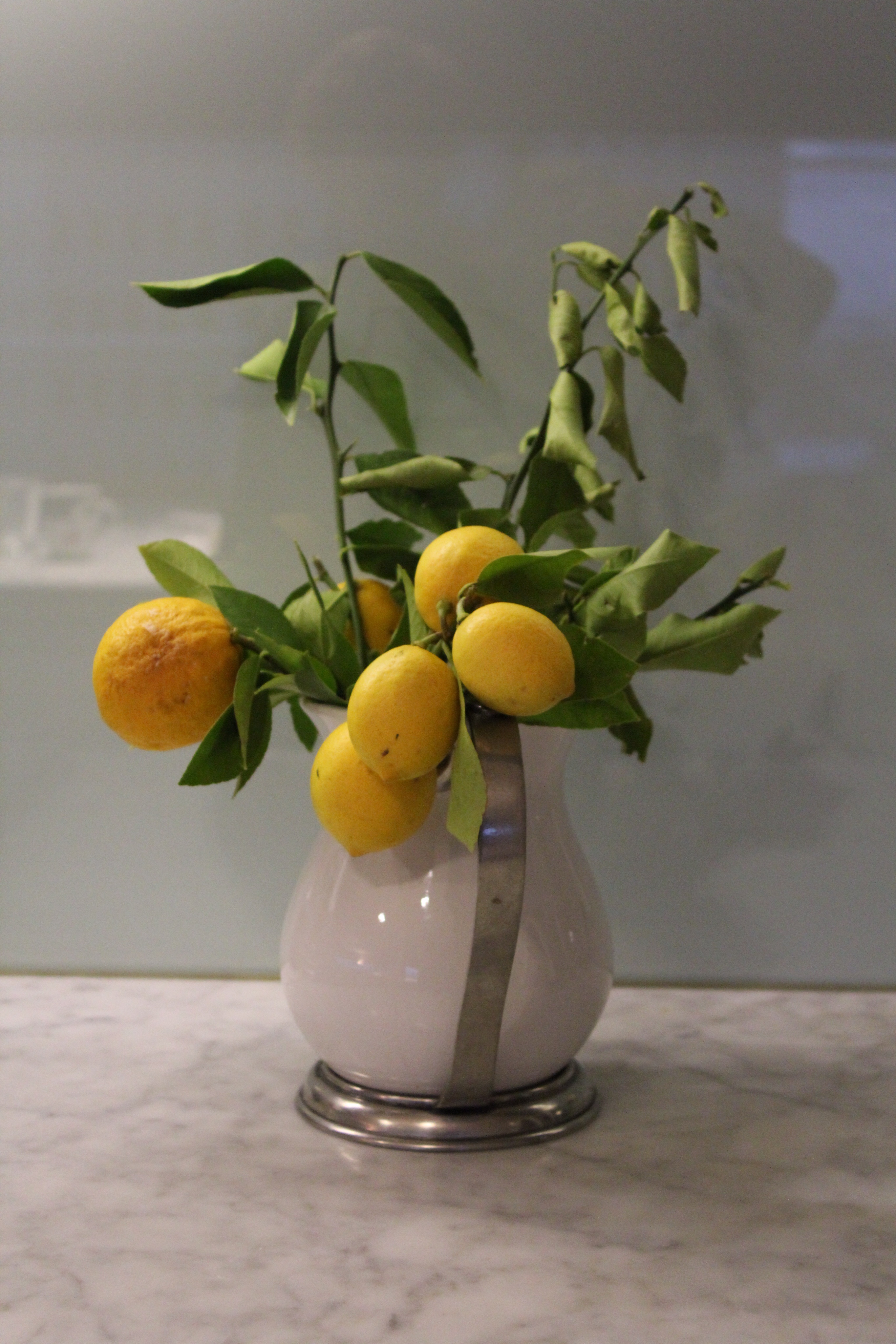 A lemon tree bough provides a bright spot in the kitchen and you can use the lemons